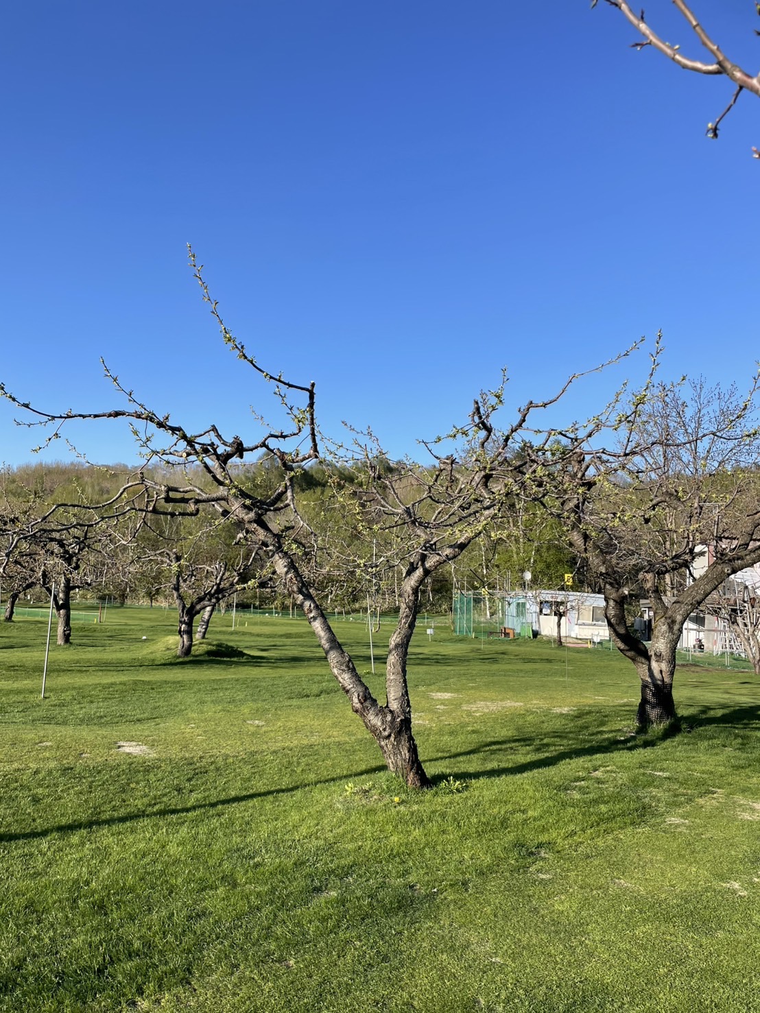 https://kensautopark.com