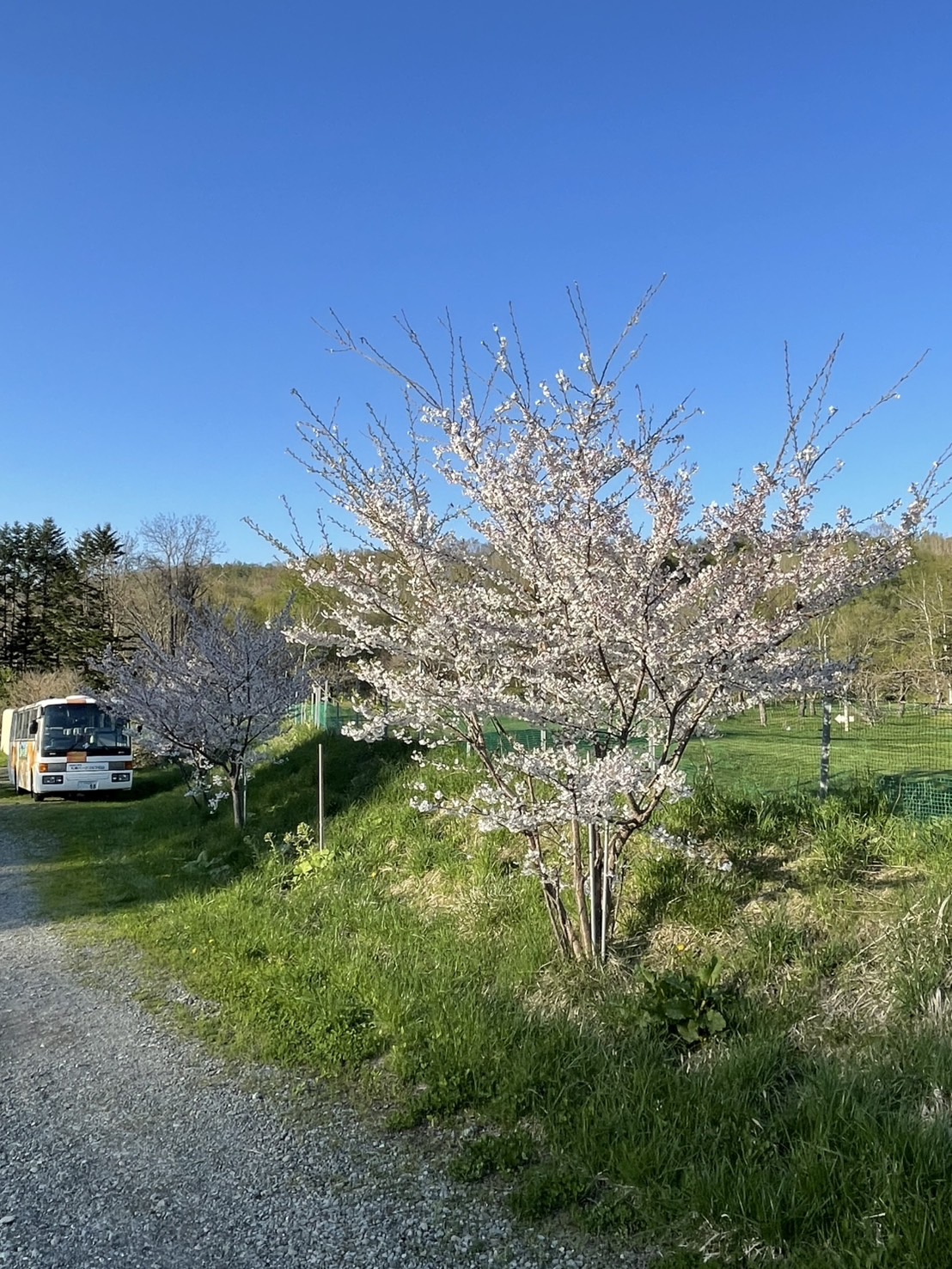 https://kensautopark.com