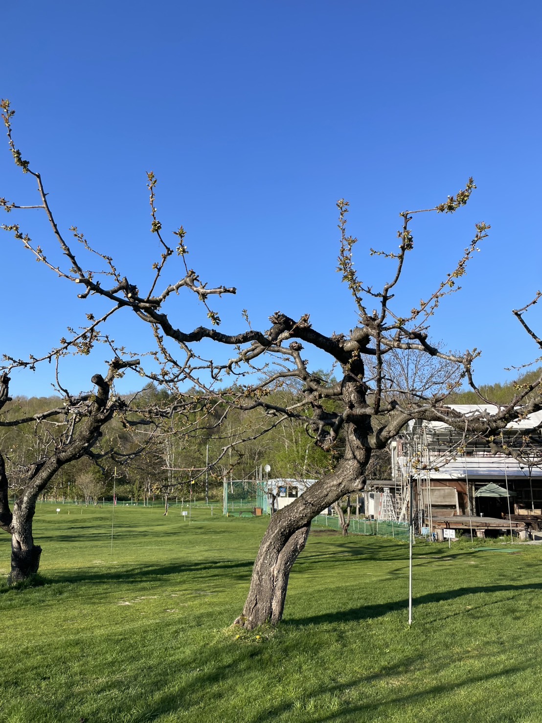 https://kensautopark.com